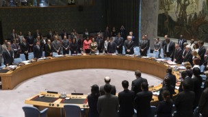 Радбез ООН розгляне резолюцію щодо катастрофи "Боїнга" 