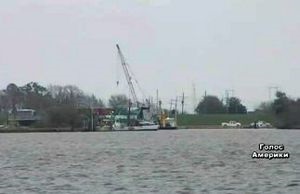 США: Луизиана не может возобновить экспорт устриц после утечки нефти