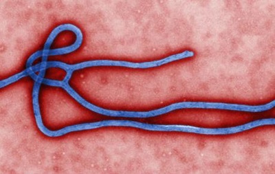 Випадків захворювання вірусом Ебола в Україні немає - МОЗ 
