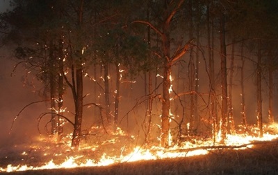 В Украине сохраняется высокий уровень пожароопасности