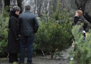 В 2012 году средняя цена новогодней елки в Украине составит 50 грн