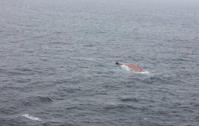 При крушении лесовоза в Японском море из украинско-российского экипажа погиб один человек 