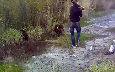 У Росії п яний чоловік убив ведмежа