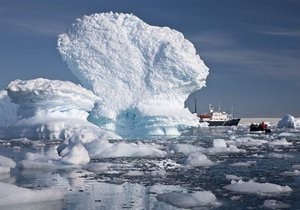 Новости науки: Антарктические черви питаются костями, брезгуя затонувшими судами