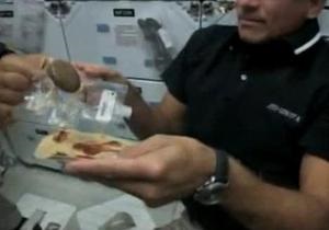 Бывший сотрудник NASA: На МКС часто возникают ссоры с российскими космонавтами из-за запаха лука и чеснока