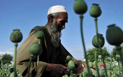 Производство опия в Афганистане бьет рекорды