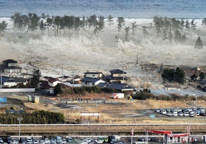 Число жертв землетрясений в Японии достигло более 15,5 тысяч человек