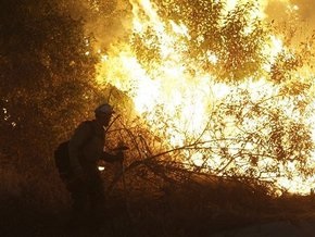 Власти США заявляют, что причиной пожаров в Калифорнии стал поджог