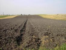 В 2008 году в Украине продали земли на 96 млн гривен