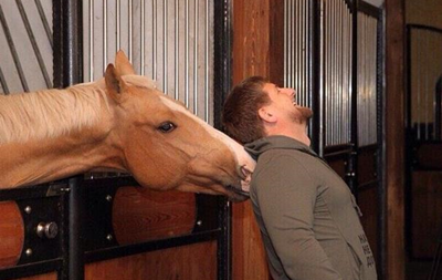Германия сняла запрет на выплату призовых лошади Кадырова