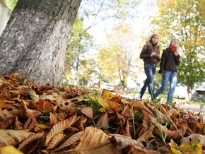 Прогноз погоды на среду, 7 октября