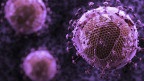 Вчені: ВІЛ мутує і слабшає