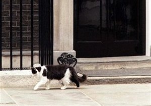 В резиденции британского премьер-министра появится кот