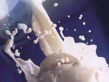 Рижские молочники будут раздавать молоко бесплатно