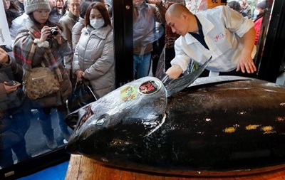 У Японії гігантський тунець пішов з молотка за 37 тисяч доларів