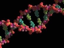 Ученые впервые полностью расшифровали геном женщины