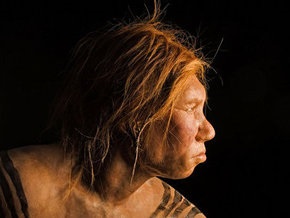 Роды у неандертальцев были устроены проще, но проходили так же тяжело