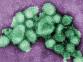 Вирус A/H1N1 охватил уже 19 американских штатов