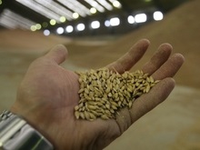 Financial Times: Украина снизила мировые цены на пшеницу