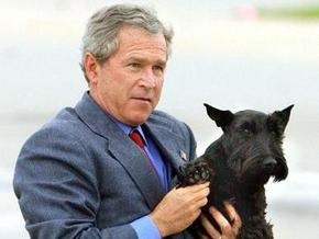 Буш понял, что он обычный человек