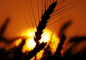 Президент Казахстана ожидает собрать в этом году 18-20 млн тонн зерновых