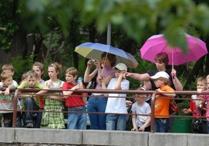 Киевские власти заявляют о ведении против зоопарка заказной кампании