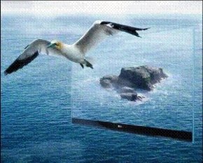 LG создает абсолютно новые возможности для просмотра с BORDERLESS™ телевизорами