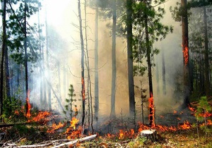 Гидрометцентр предупредил о высокой пожароопасности в ряде областей Украины