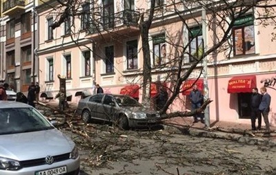 У Києві ураган повалив дерева і білборди
