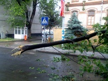 На ликвидации последствий урагана во Львове задействованы 120 спасателей