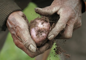 СМИ: В Украине растут цены на картофель
