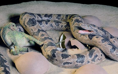 Археологи разобрались с останками древней змеи, питавшейся динозаврами