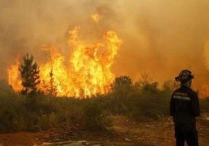 В Чили бушуют лесные пожары: огнем охвачено около 2 тыс гектаров леса