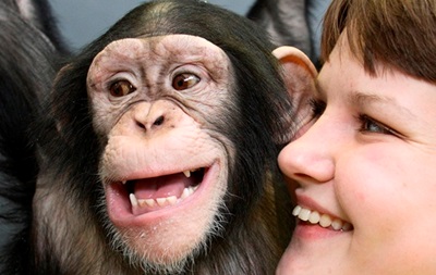 Мавпи і люди посміхаються однаково – вчені