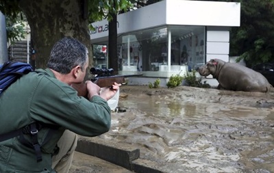 У Тбілісі через повінь загинули 300 мешканців зоопарку