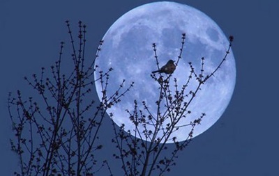 Земляне в ночь на 2 июля увидят  голубую  Луну