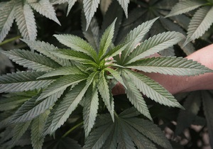 В Калифорнии пройдет референдум о легализации марихуаны