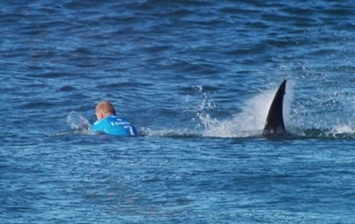 ПАР: серфер відбився від акули під час змагань