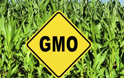 Конгресс США одобрил закон, разрешающий не маркировать продукты с ГМО