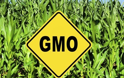 Німеччина заборонить сільгосппродукти з ГМО