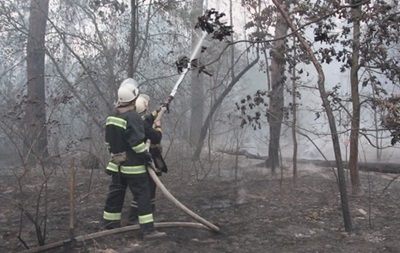 В Киеве ликвидировали пожар в Дарницком лесу