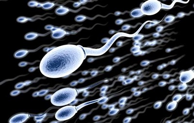 Вчені виявили новий метод чоловічої контрацепцїї