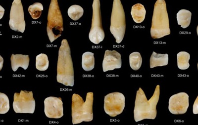 У Китаї знайшли зуби, які свідчить про ранню міграцію Homo sapiens