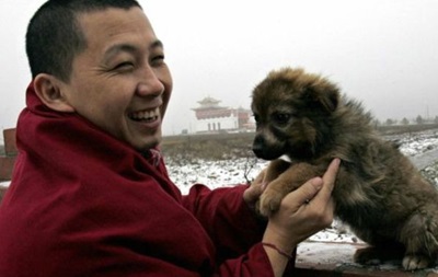 Собаки можуть походити з Центральної Азії - науковці