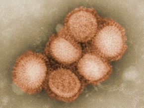 В США зафиксирован третий случай смерти от гриппа А/H1N1