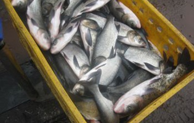 У водоймах України зріс вилов риби