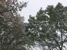 Синоптики прогнозируют мокрый снег, метели и гололедицу