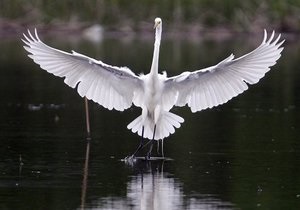 Прогноз погоды: в Украину приходит тепло