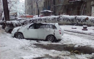 На Харківщині, падаючи, дерево вбило жінку