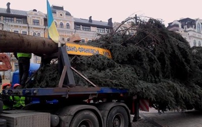 В Киев привезли главную новогоднюю елку страны